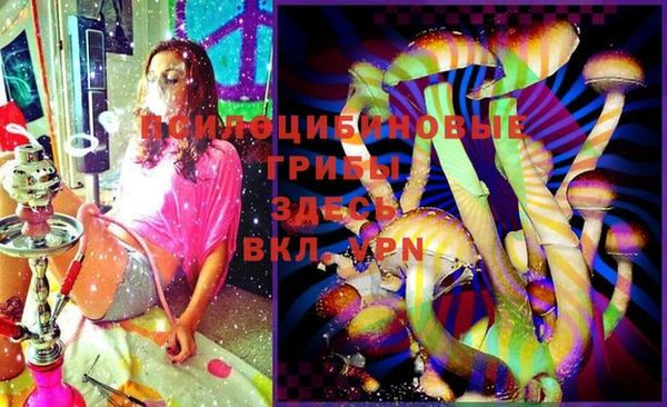 эйфоретик Зерноград